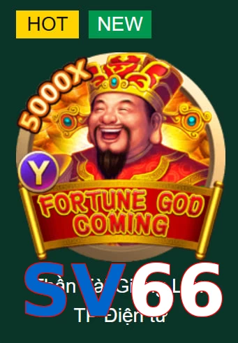 SV66